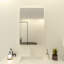 Miroir rectangulaire inclinable pour salle de bain 27 po x 36 po Verge-1828829792-1828829822