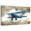 Mehar Biplane I