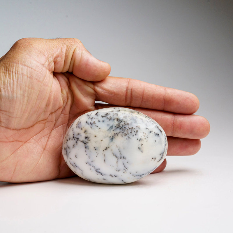Genuine Polished Dendritic Agate Palm Crystal