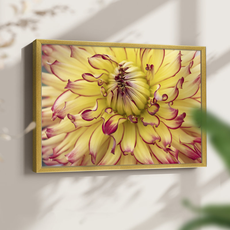 Blooms II -Framed Print - Restickable, 16" H x 20" W