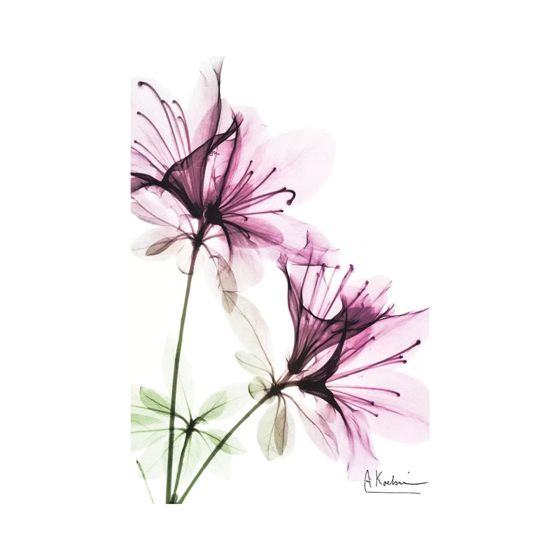 Splendid Beauty I par Albert Koetsier, impression sur toile tendue, H 12 po x l 8 po x P 0,75 po