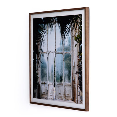 Ardil " Greenhouse II " by Annie Spratt