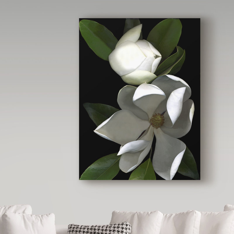 «White Magnolia» par Dosta, impression sur toile tendue, H 47 po x l 35 po x P 2 po