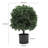 2 - Piece Artificial Evergreen Tree in Pot Set
