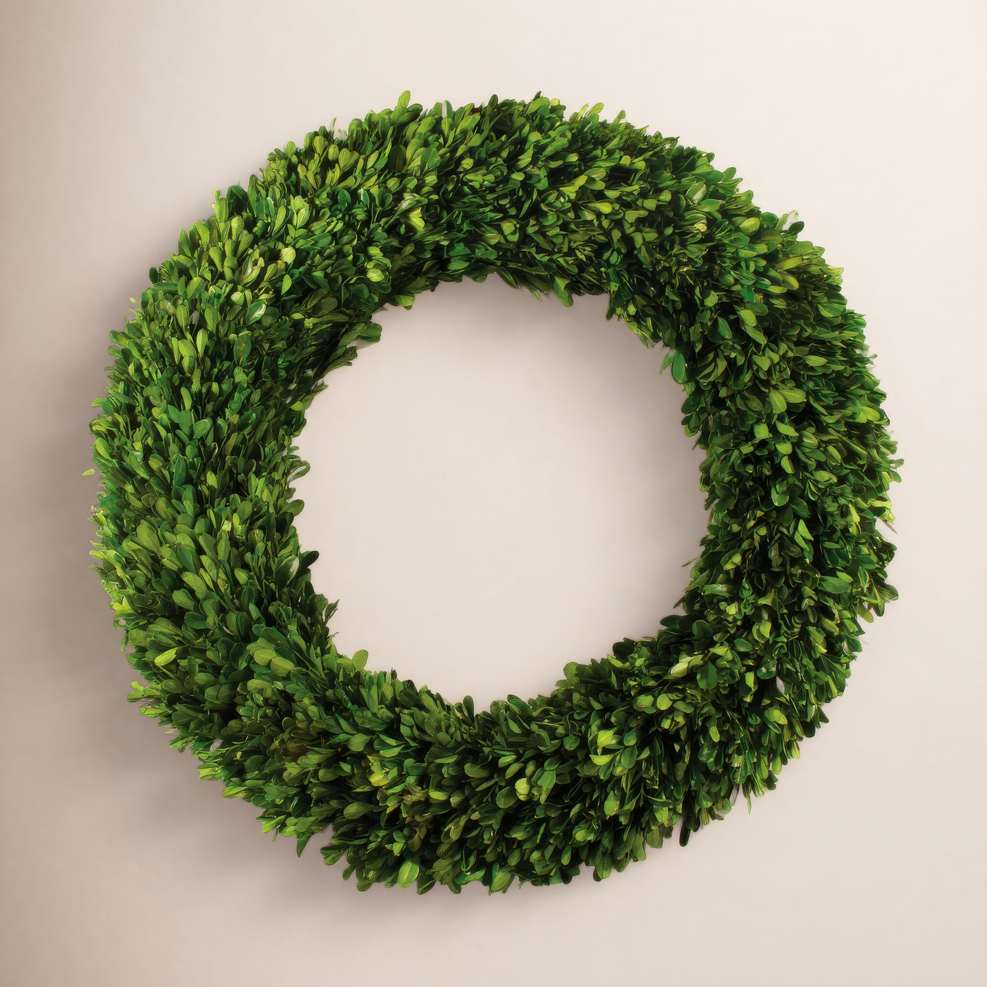 Alby Preserved Boxwood Wreath