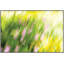Intimation Of Light 1 Print-2106330038