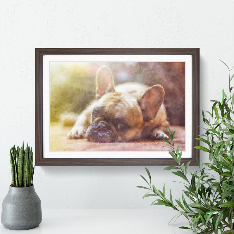 Fawn French Bulldog Dog - Framed Print, 24cm H x 33cm W x 2cm D, Walnut Framed