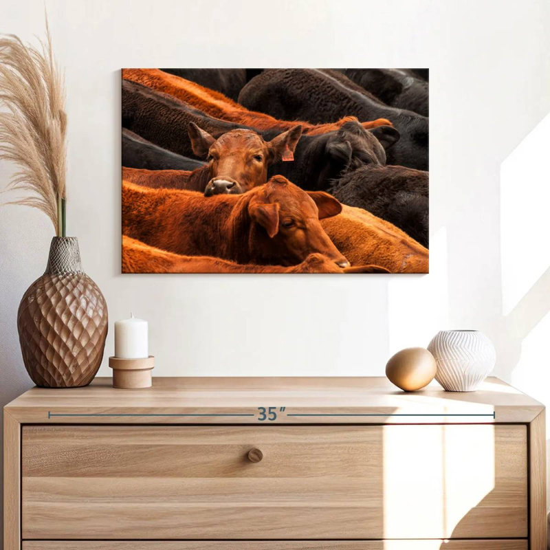 Beef Cattle, 16" H x 24" W