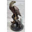 Aigle chauve américain Juvraj