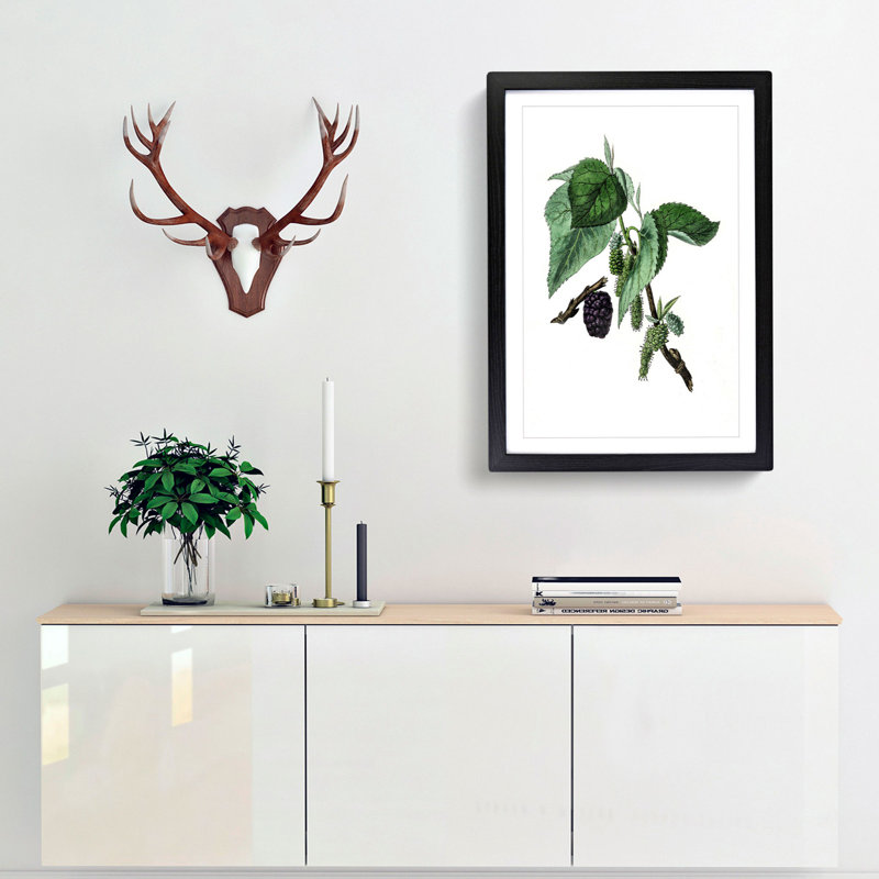 Black Mulberry Plant Illustration - Framed Print, 65cm H x 48cm W x 2cm D, Black Framed