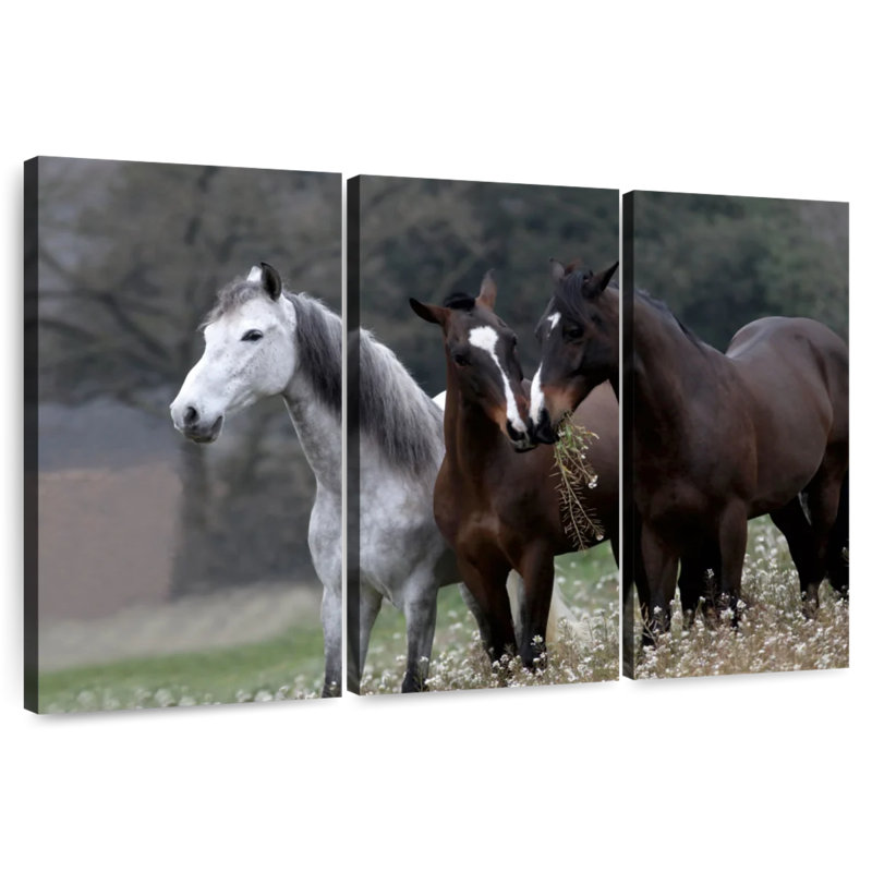 Brampt Three's Company Photography, 24" H x 38" W