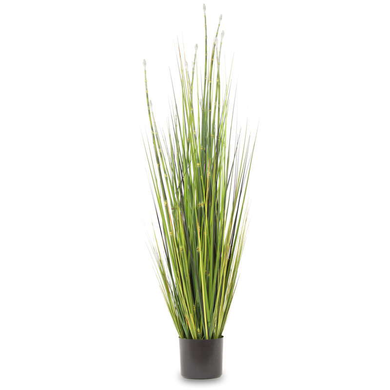 Faux Evergreen Grass in Pot, 122cm H x 55cm W x 55cm D, Black, Dark Green