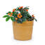 Ensemble de pots à fleurs en céramique fait à la main de 3, 15/12/9 pouces de diamètre, glacis moucheté couleur terre, pour orchidées et plantes d'intérieur, pour fenêtre et bibliothèque, argile respirante-312745039