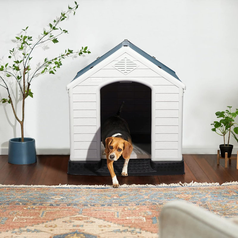 Niche pour chien en plastique Aunyae, Bleu, H 32 po x l 31 po x P 34 po