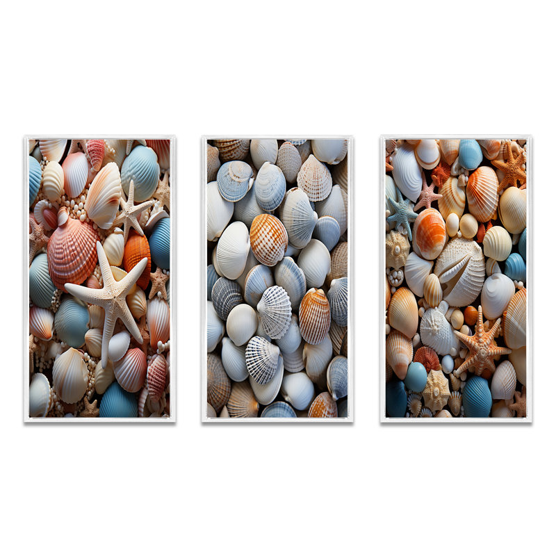 «Beach Photo Seashell Symphony VII», 3 pièces sur toile, Cadre blanc, H 32 po x l 48 po