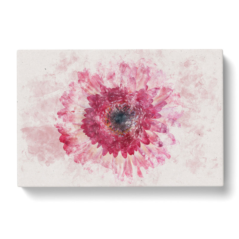 Layers Of A Pink Gerbera Watercolour - Wrapped Canvas Print, 60cm H x 91cm W x 3cm D