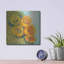 «Blooming Succulent II» par Carol Rowan, art mural en métal-440863029