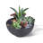 Set of 2 Modern Minimalist Plastic Outdoor Planter with Drainage Function-109269697