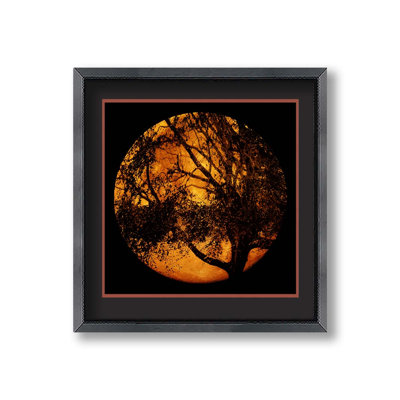 "T'was A Night" par Hal Halli on