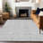 Premium Machine Washable Prisco Silver Rug-1190460510