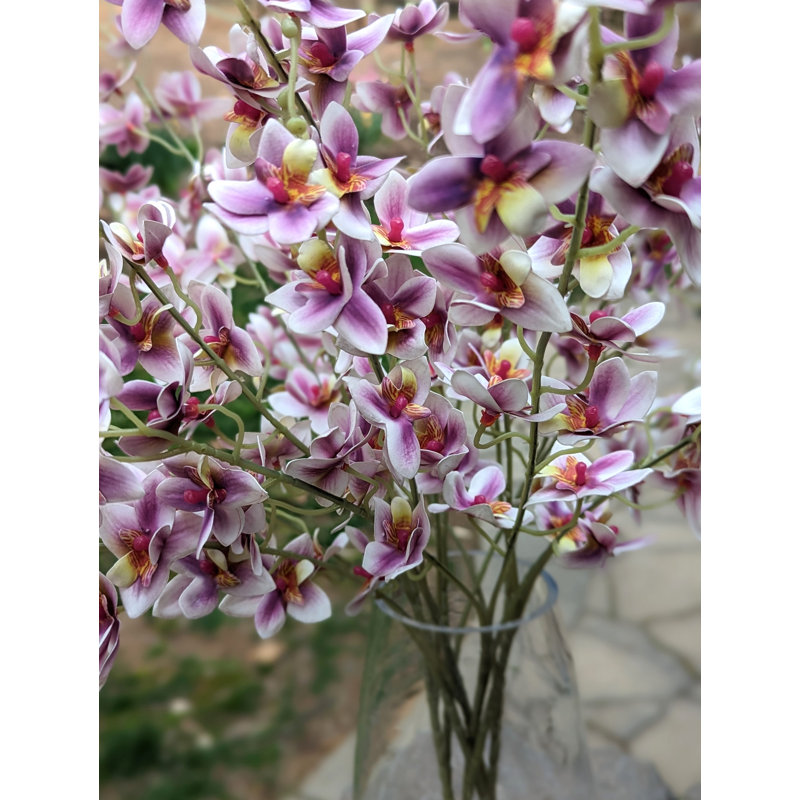 Primrue Orchid Arrangement in Vase | Wayfair