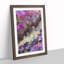 New Day in Abstract - Framed Print-55727741-86304935