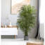 Daphnee Palmier Areca résistant aux rayons UV (intérieur / extérieur)