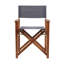 Folding Director Chair