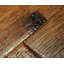 Parquet en bois d'ingénierie Calatan Hickory-1672781906