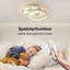 LED Flush Mount