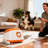 26-79 FT Distance Automatic Dog Ball Launcher