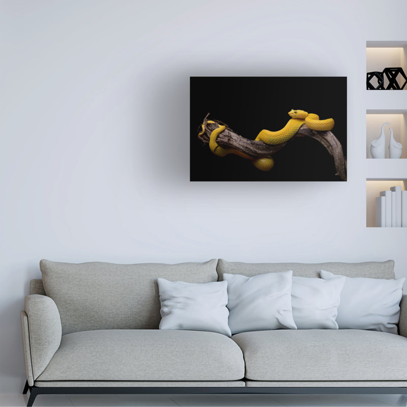 Toile tendue - Thor Hakonsen, art mural «tantriechis schlegelii, vipère» pour décoration de salon, de chambre à coucher ou de bureau - 30 x 47