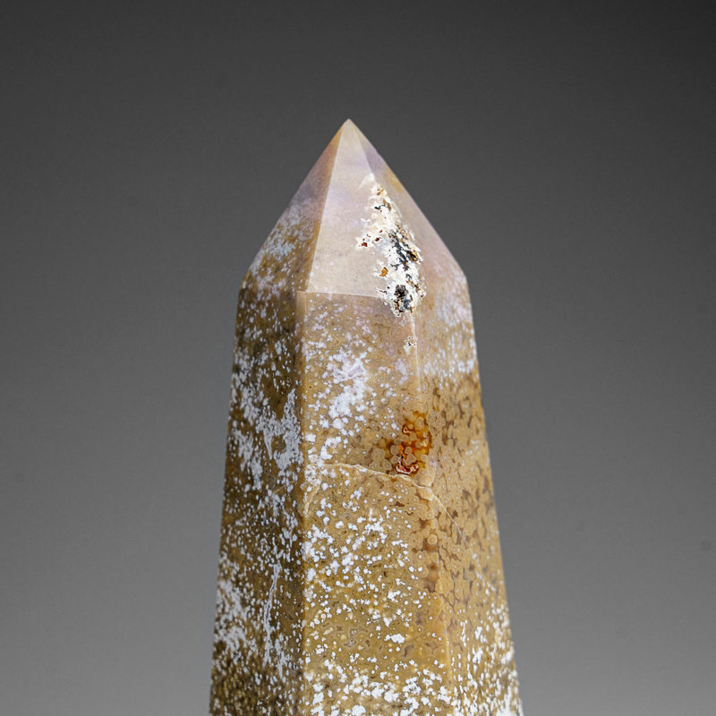 Océan poli, point de Jasper de Madagascar (1,4 lb)