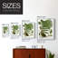 Fern I Framed Print - Solid Wood-112355514-112355511