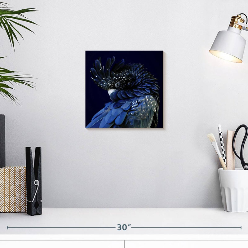 Cacatoès noir Brampt Splendid, H 10 po x l 10 po