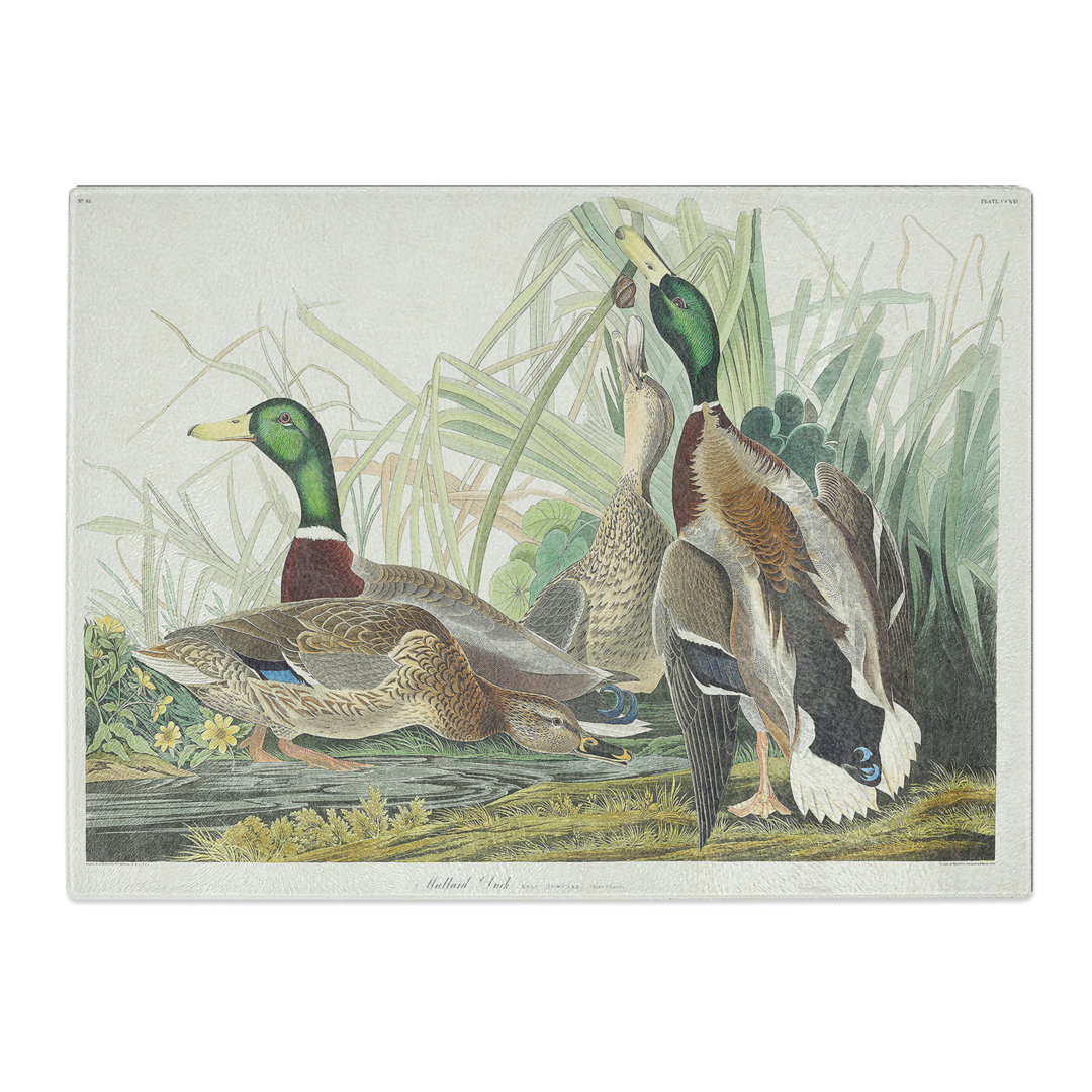 Mallard Ducks By Audubon  Glass Chopping Board