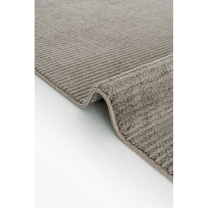 Reileigh Solid Colour Machine Made Indoor / Outdoor Area Rug, Rectangle 2'7" x 4'11"