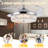 Arlicia 42'' Ceiling Fan with LED Lights