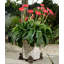 Goodin Metal Planter Feet