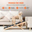 Pet Ramps-253103777
