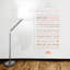 Non-Wall Damaging Wall Decal