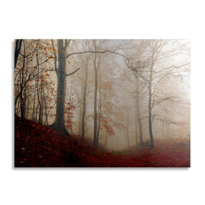 «Waiting for the Deer», reproduction de photo