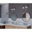 Rosser 2 Light Transparent Dimmable Vanity Light-1978396703