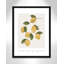 Amalfi Lemons - cadre photo, impression-66318802-66318814
