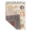 Oriental Area Rug in Beige