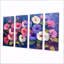 Ensemble de décorations murales rose, blanc et vibrant Morning Glory II - Morning Glory-1127329811