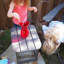 Table d'appoint Brynn-746214171