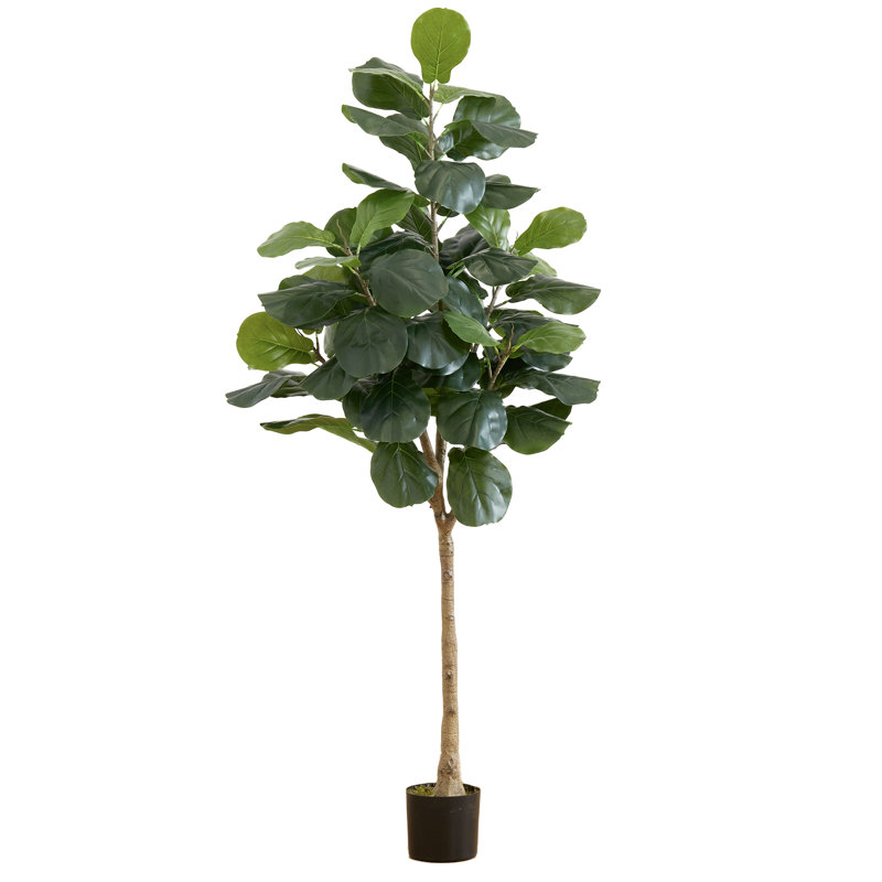 6 pi Arbre à violon artificiel