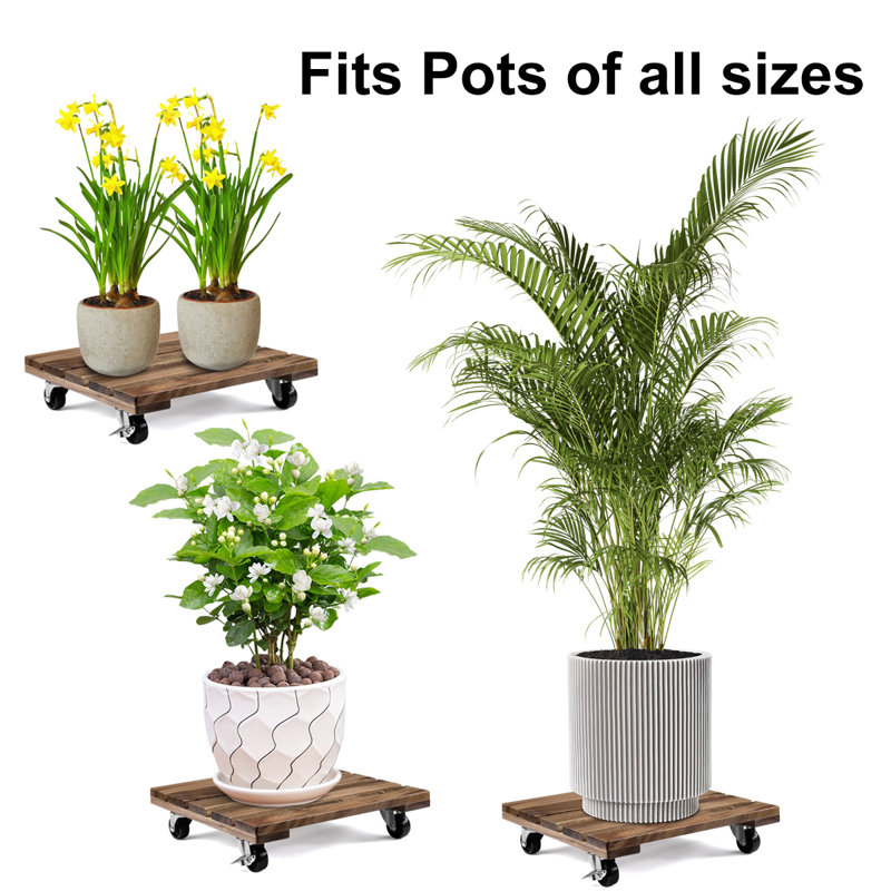Ensemble de 2 supports à plantes en bois 12,6 pouces avec roues