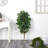 Ficus Artificial Tree